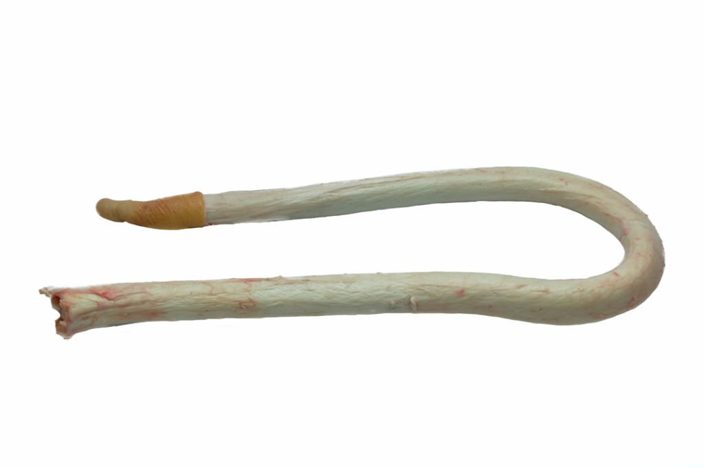 VERGALHO CONGELADO DE BOVINOS - FROZEN BEEF PIZZLE